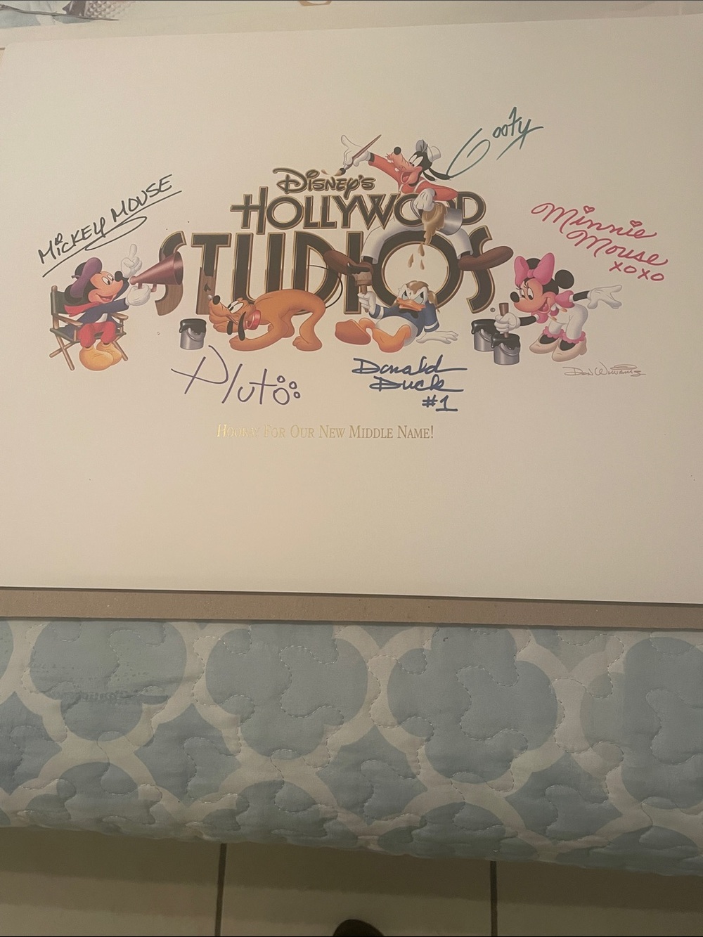 Disney Hollywood Studios Framed Wall Art - Multicolor
